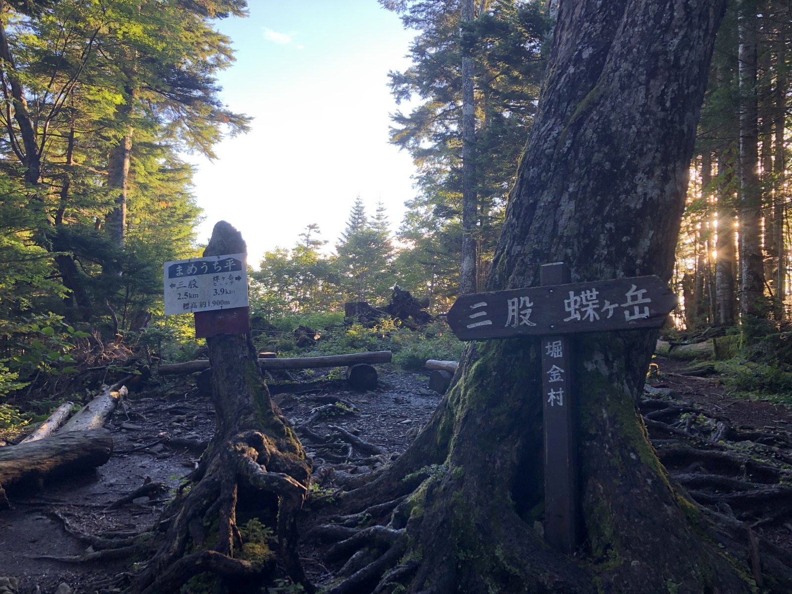蝶ヶ岳 まめうち平の道標 標高約1900m 三股2.5km ヒュッテ3.9km ヤマカルテ
