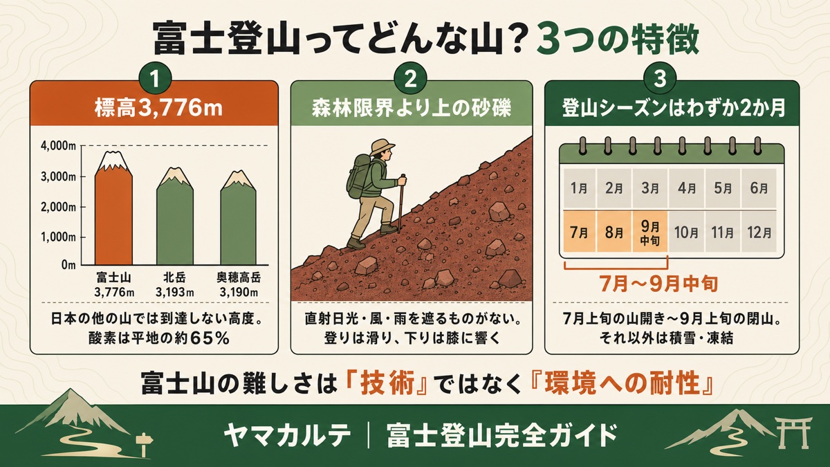 富士登山ってどんな山?3つの特徴 標高3,776m(他の山では到達しない高度)・森林限界より上の砂礫(登りは滑り下りは膝に響く)・登山シーズンはわずか2か月(7月〜9月中旬)を理学療法士が図解 ヤマカルテ