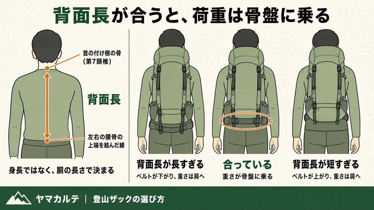 登山ザックの背面長の測り方と合う合わないの比較 第7頸椎から左右の腰骨の上端まで 長すぎるとベルトが下がり短すぎると上がって重さが肩へ 合っていれば骨盤に乗る ヤマカルテ