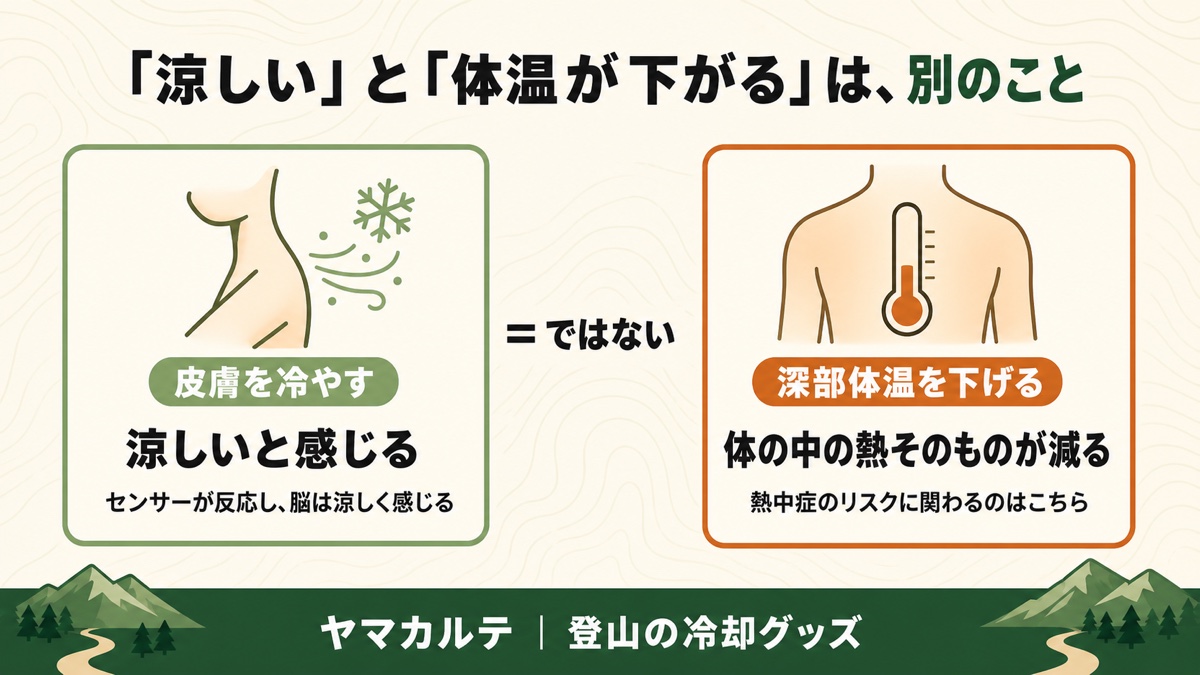 「涼しい」と「体温が下がる」は別のこと 皮膚を冷やし涼しく感じさせる効果と深部体温そのものを下げる効果は別物であることを示す図解 ヤマカルテ