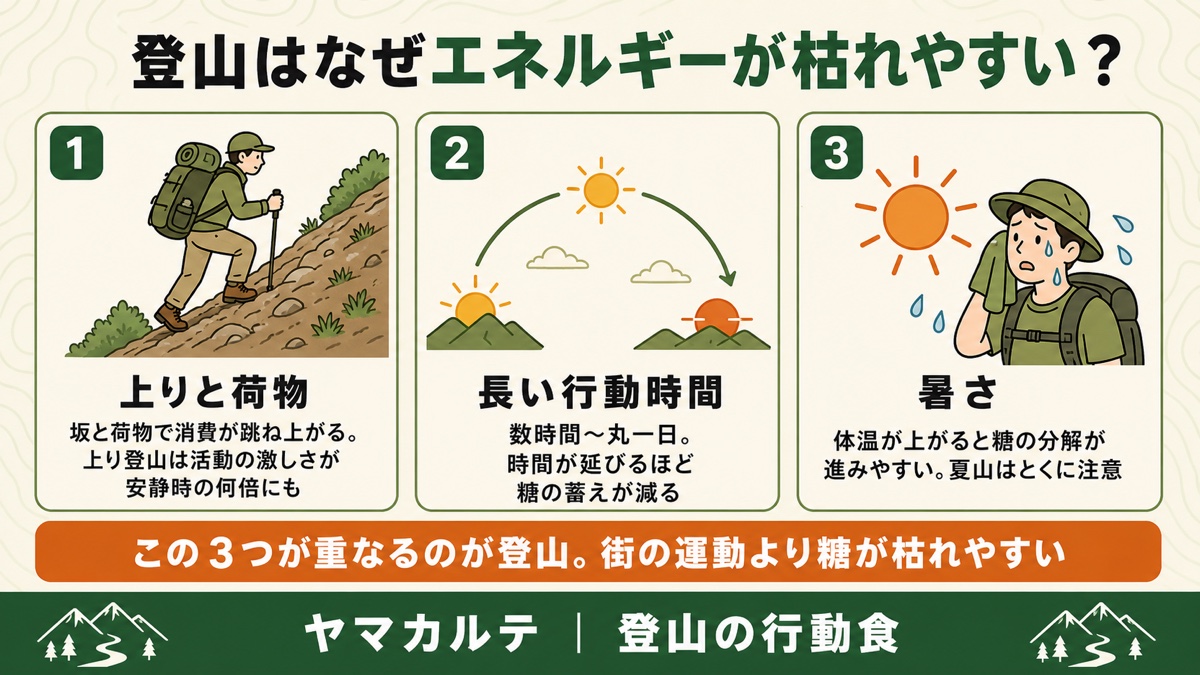 登山はなぜエネルギーが枯れやすいか 上りと荷物・長い行動時間・暑さの3つの理由 ヤマカルテ
