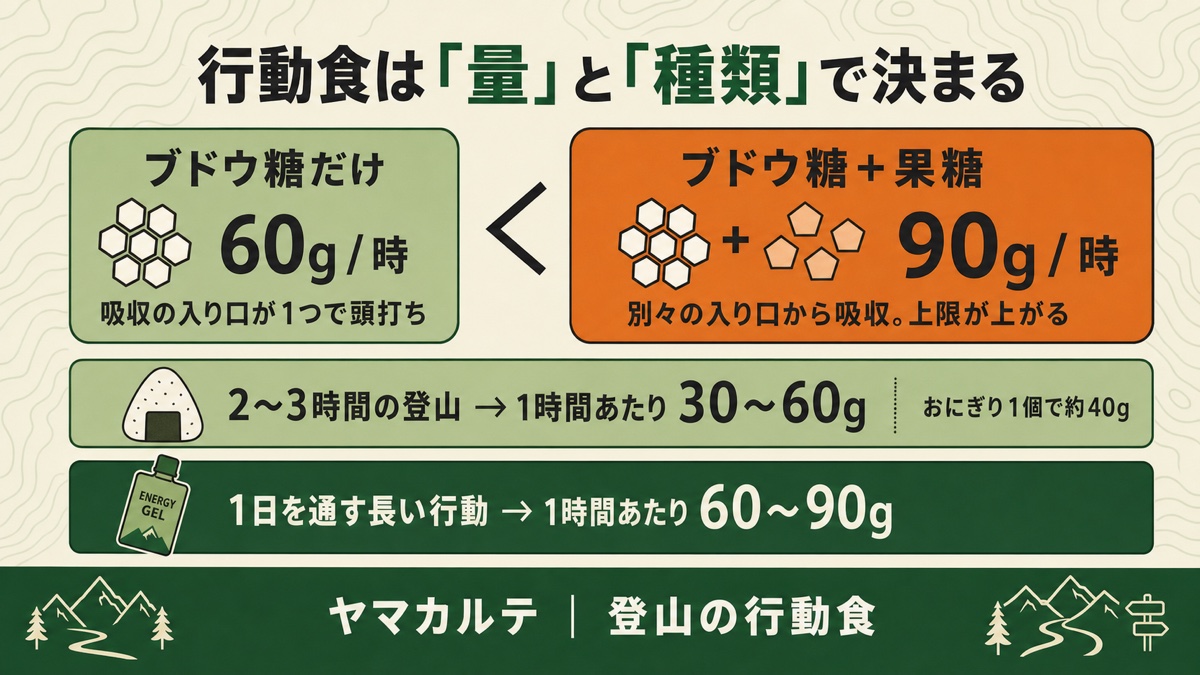 行動食は量と種類で決まる ブドウ糖だけ60g/時・ブドウ糖+果糖90g/時と行動時間別のめやす ヤマカルテ