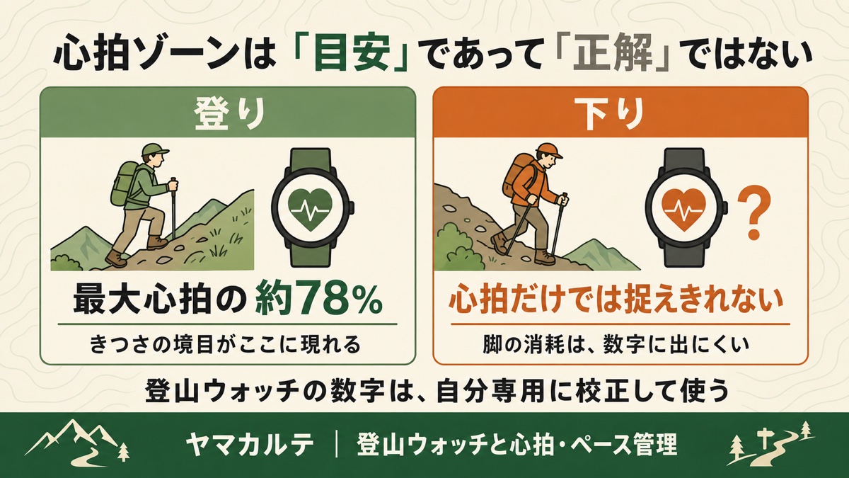 心拍ゾーンは目安であって正解ではない 登りのきつさの境目は最大心拍の約78%・下りは心拍だけでは捉えきれない ヤマカルテ