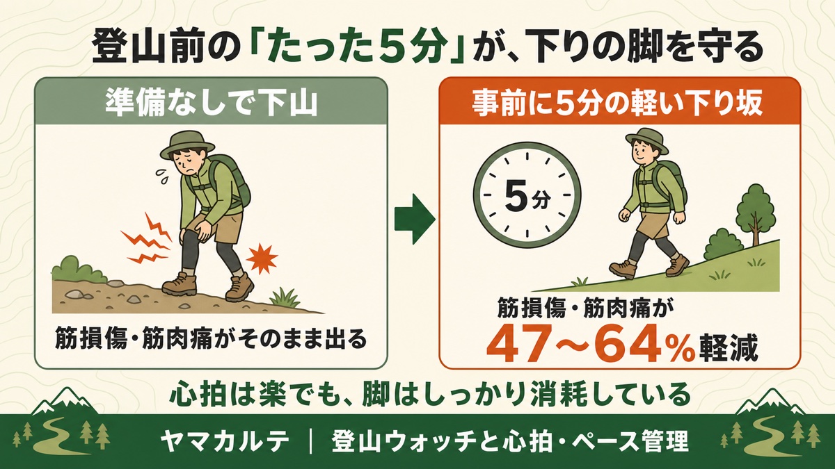 登山前のたった5分の軽い下り坂で本番の筋損傷と筋肉痛が47〜64%軽減 心拍は楽でも脚はしっかり消耗している ヤマカルテ
