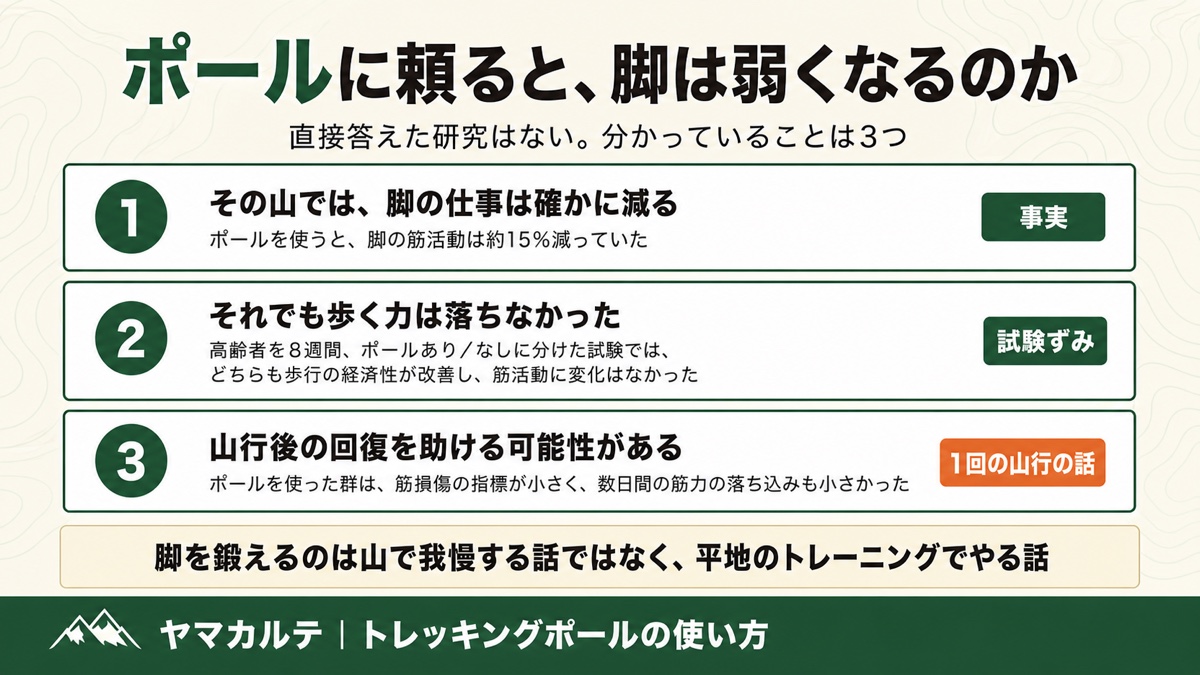 ポールに頼ると脚は弱くなるのか 脚の筋活動は約15%減るが8週間の試験で歩く力は落ちず山行後の回復を助ける可能性があることを示した図解 ヤマカルテ