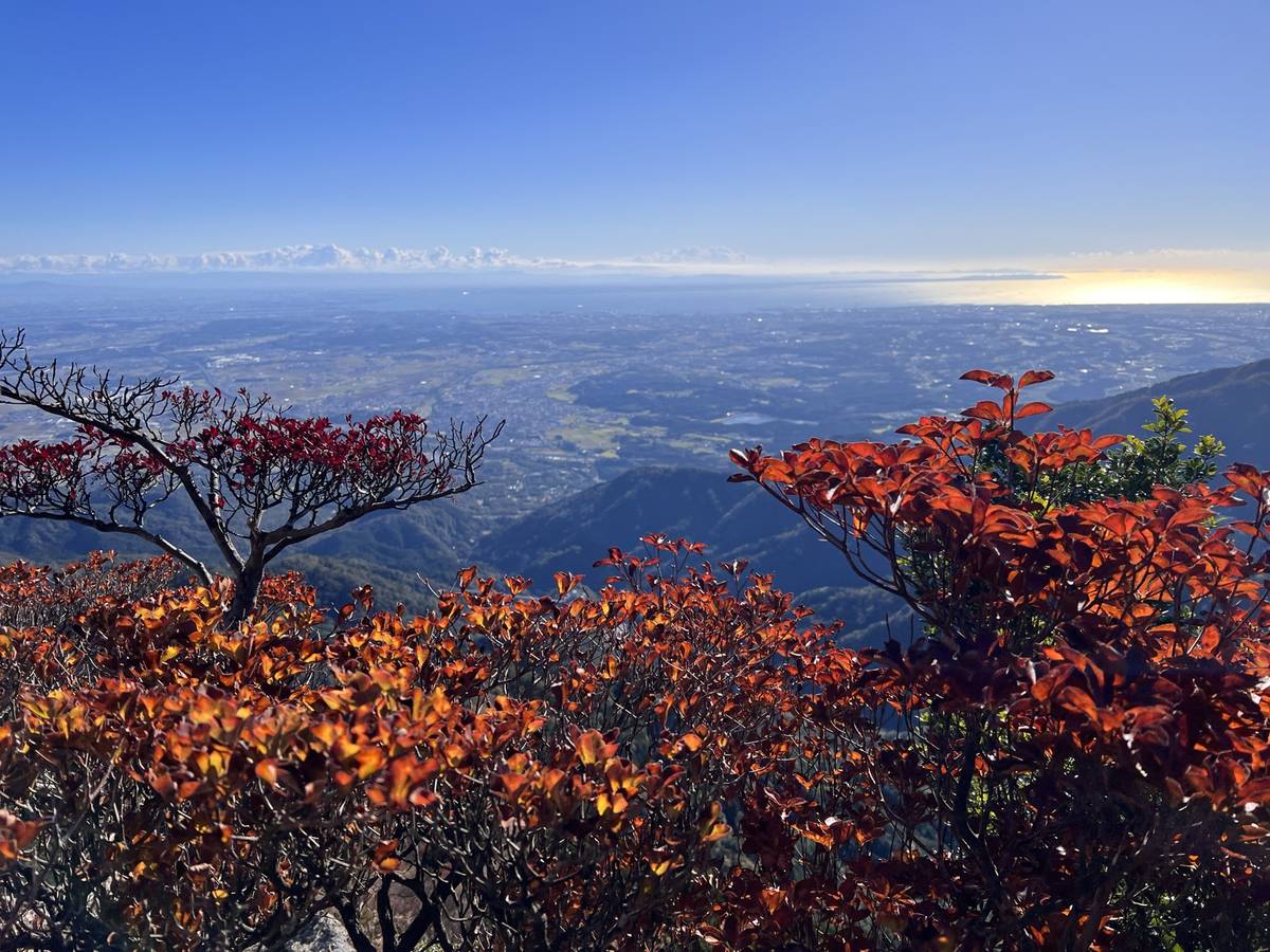 御在所岳から望む紅葉と眼下の伊勢湾 登山復帰の朝