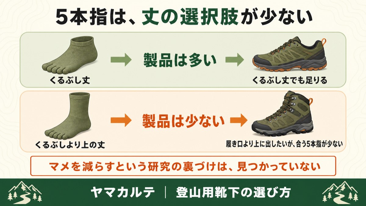 5本指ソックスと丈の図解 くるぶし丈は製品が多くトレランシューズなら足りる くるぶしより上の丈は製品が少なくハイカットの登山靴に合わせにくい ヤマカルテ