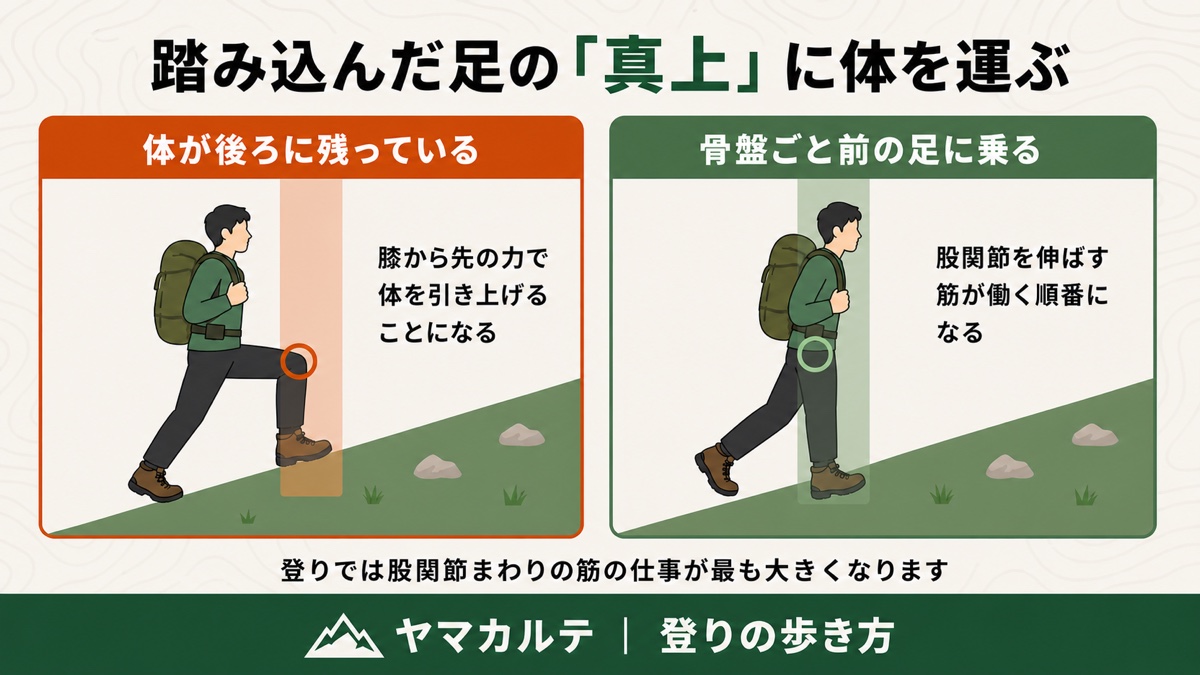 踏み込んだ足の真上に体を運ぶ 体が後ろに残ると膝から先の力で引き上げることになる 登山の登りの歩き方 ヤマカルテ