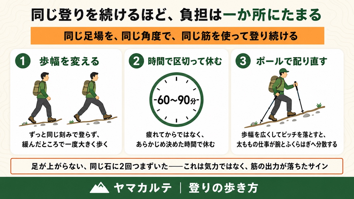 疲れた終盤の3つの対処 歩幅を変える・60〜90分で区切って休む・ポールで仕事を配り直す 登山の登りの歩き方 ヤマカルテ