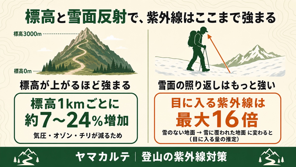 標高と雪面反射で紫外線が強まる仕組み 標高1kmごとに約7〜24%増加し雪面では目に入る紫外線が最大16倍になる理学療法士の解説 ヤマカルテ