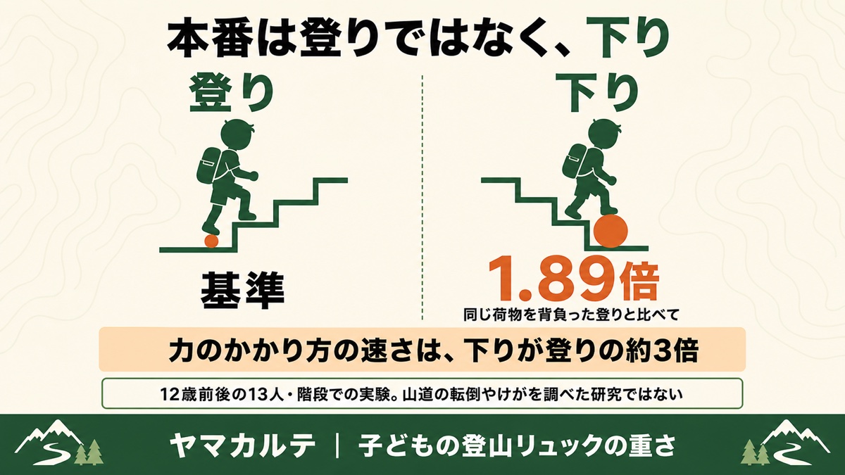 荷物を背負った子どもの下りは足へのピークの力が登りの1.89倍・力の立ち上がりは約3倍になることを階段の実験から図解 ヤマカルテ
