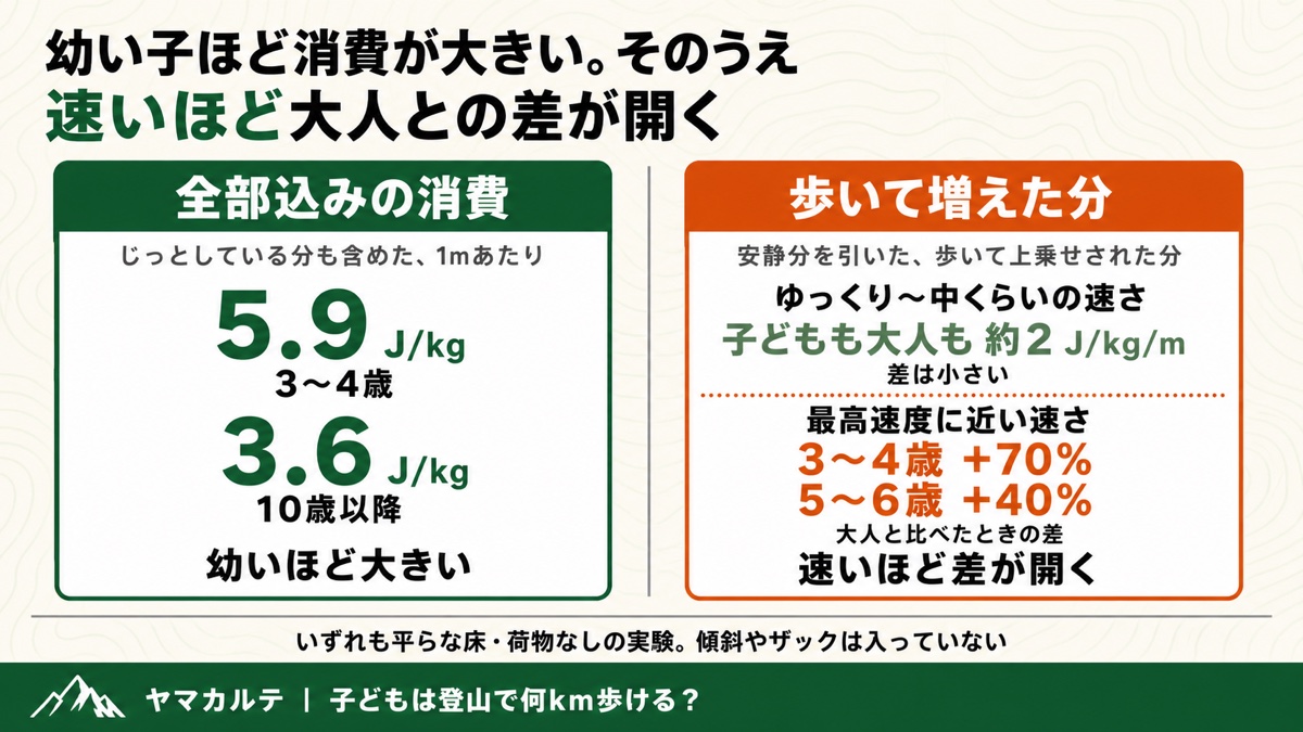 子どもの歩行の消費エネルギー 全部込みの消費は3〜4歳5.9J/kg・10歳以降3.6J/kgで幼いほど大きい 歩いて増えた分はゆっくりなら子どもも大人も約2J/kg/mだが最高速度に近い速さでは3〜4歳プラス70%・5〜6歳プラス40% ヤマカルテ