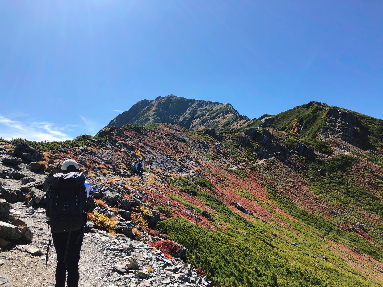 草紅葉に染まる北岳の北稜を歩く登山者 小太郎尾根から肩の小屋へ