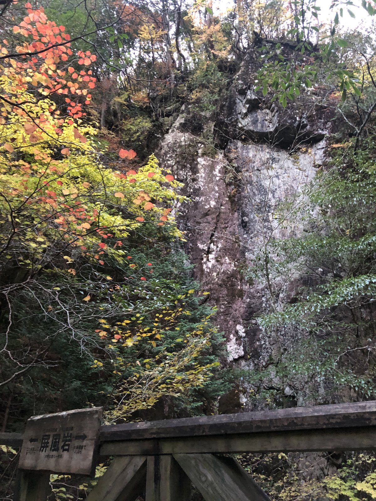紅葉に囲まれた屏風岩の岩壁 乙女渓谷 小秀山 二ノ谷ルート