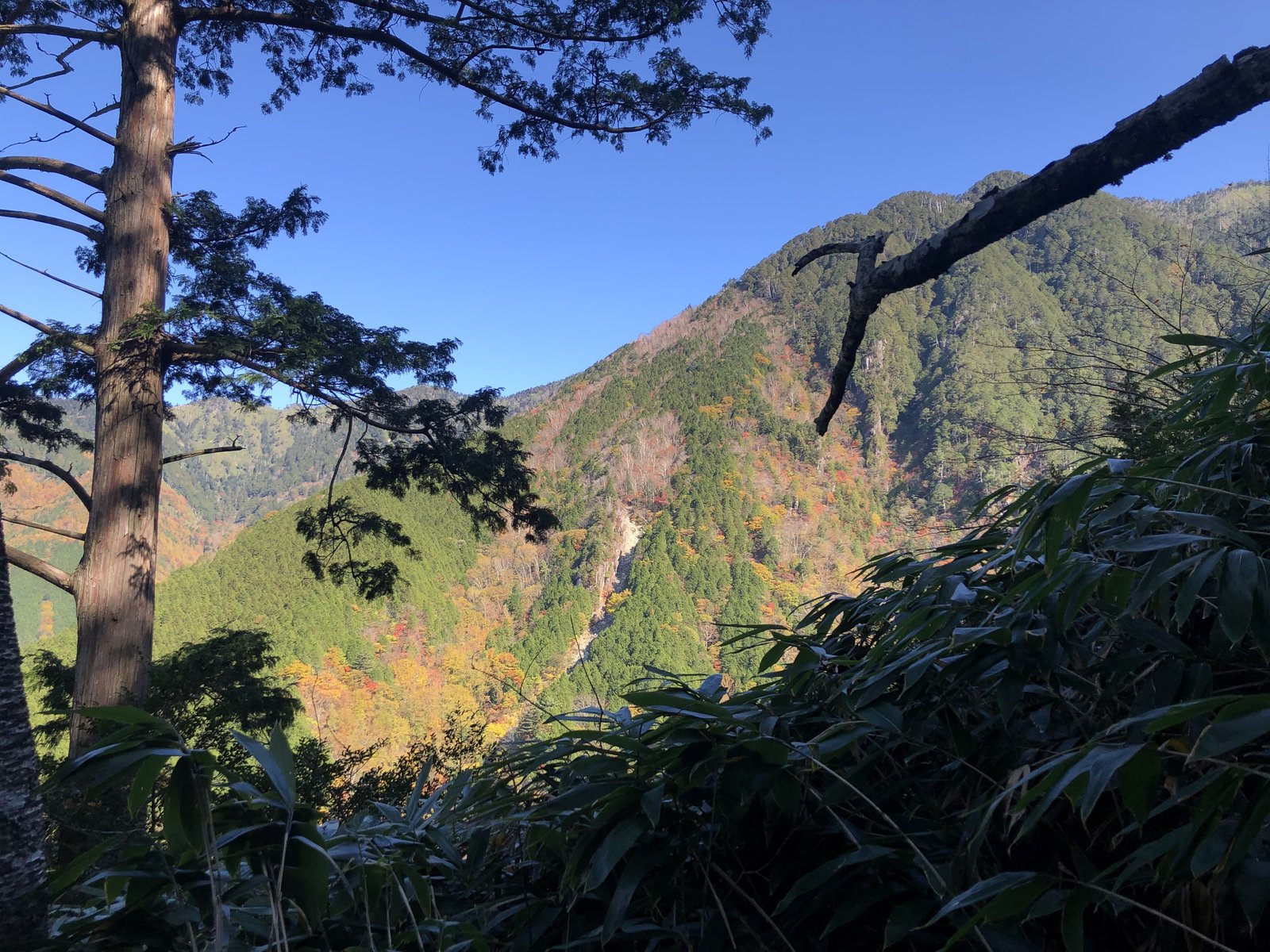 三ノ谷ルートの下山中に見た紅葉の山肌と青空 小秀山