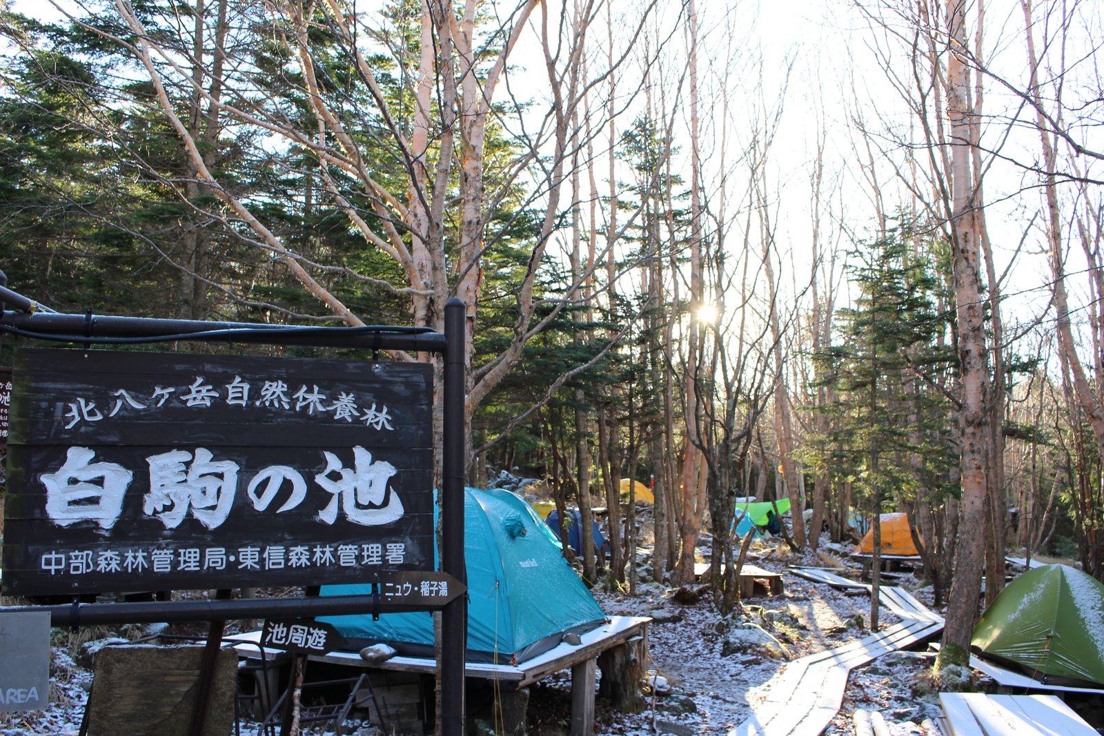 白駒の池の看板と朝のテント場 あられで白くなった白駒池キャンプ場 ヤマカルテ