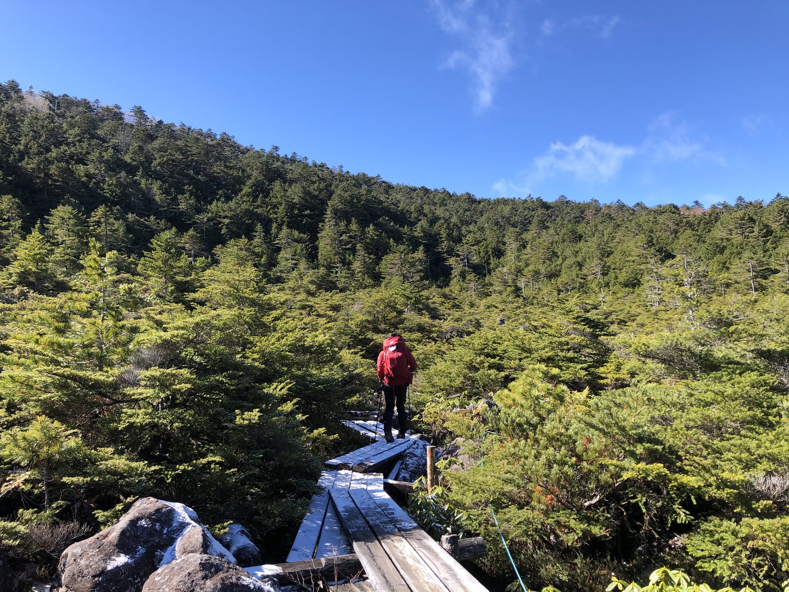 青空の下、白駒池から麦草峠へ戻る木道を歩く赤いジャケットの筆者 北八ヶ岳 ヤマカルテ