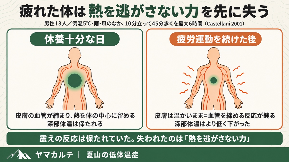 疲れた体は熱を逃がさない力を先に失う 男性13人・5℃の雨と風で6時間歩いた実験で疲労後は皮膚が温かいまま深部体温がより低下 ヤマカルテ