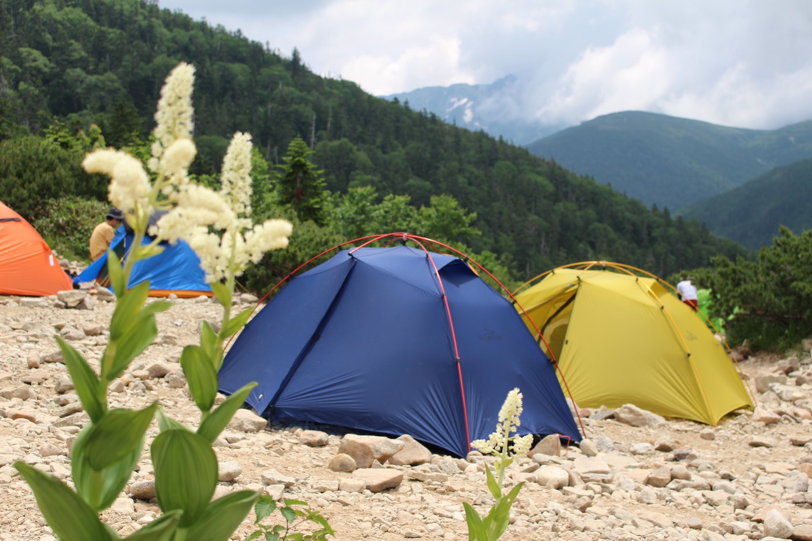 太郎平キャンプ場に設営した登山テント 薬師岳テント泊 ヤマカルテ